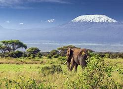 Image result for Kilimanjaro National Park, Tanzania