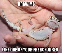 Image result for What If Lizard Meme