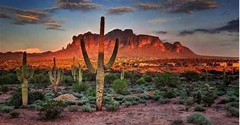 Image result for Best Arizona Snowbird Locations
