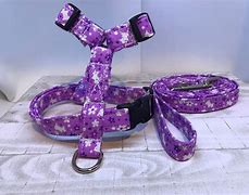 Image result for Hooks for Dog Leashes