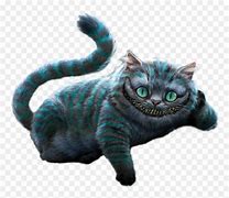 Image result for Grey Cheshire Cat