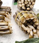 Image result for Canned Razor Clams