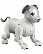 Image result for Aibo No Shell