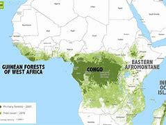 Image result for Africa Map Jungle