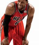 Image result for LeBron James NBA Player