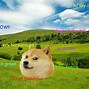 Image result for Doge Background