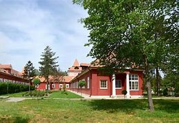 Image result for co_to_znaczy_zrenjanin