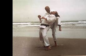 Image result for Wado Ryu Karate