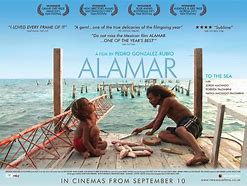 Image result for aoamar