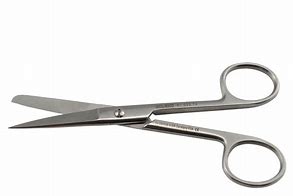 Image result for Small Sharp Scissors