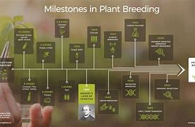 Image result for Second Generation Plant Genetics