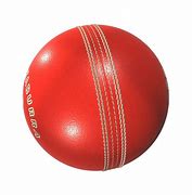 Image result for Cricket Name Photo