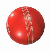 Image result for Mini Cricket Bat