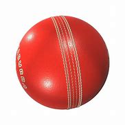 Image result for Cricket Pic PNG