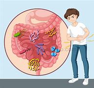 Image result for gastroenteritis