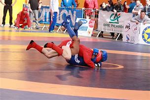 Image result for Combat Sambo