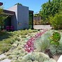 Image result for Desert Landscaping with Cactus