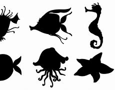 Image result for Marine Life Silhouette