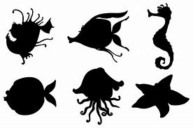 Image result for Deep Sea Fish Silhouette