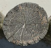 Image result for Log End Texture