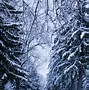 Image result for Snowing Day