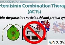 Image result for Antiparasitic Drugs
