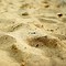 Image result for Medium Sand Texture