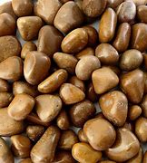 Image result for Brown Decorative Pebbles