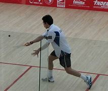 Image result for Squash Sport Action Photos