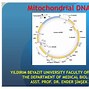 Image result for DNA Mitokondria