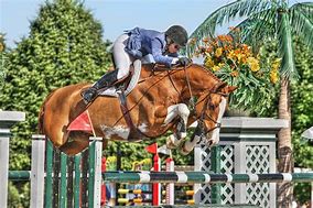 Image result for Grand Prix Horse Jumping