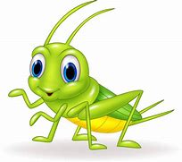 Image result for Cricket Bug Clip Art