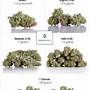 Image result for How Much Is 1 Gram of Weed