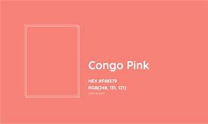 Image result for Congo Language Map
