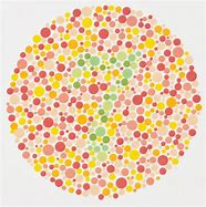 Image result for Color Blindness