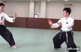 Image result for Martial Arts Beginners
