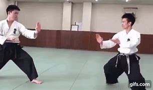 Image result for Fight Styles Martial Arts