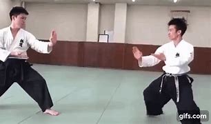 Image result for Deadliest Martial Arts Centers