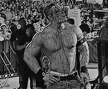 Image result for John Cena vs Monster Woman