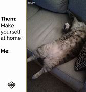 Image result for Iz Comfy Cat Meme