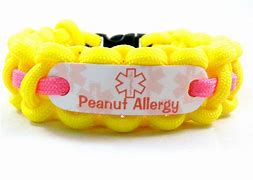 Image result for Medical Alert Bracelets with Tab Clasps