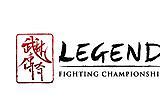 Image result for Martial Arts Logo