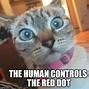 Image result for Red Dot Cat Meme