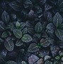 Image result for Texture Natural Nature Photography