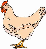 Image result for Chicken Clip Art Free