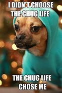 Image result for hoodies dogs memes