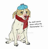 Image result for Sick as a Dog Meme