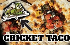 Image result for Cricket Tacos