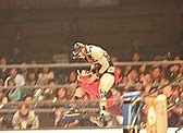 Image result for Professional Wrestling Aerial Techniques