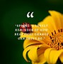 Image result for Life Photography Memories Quotes